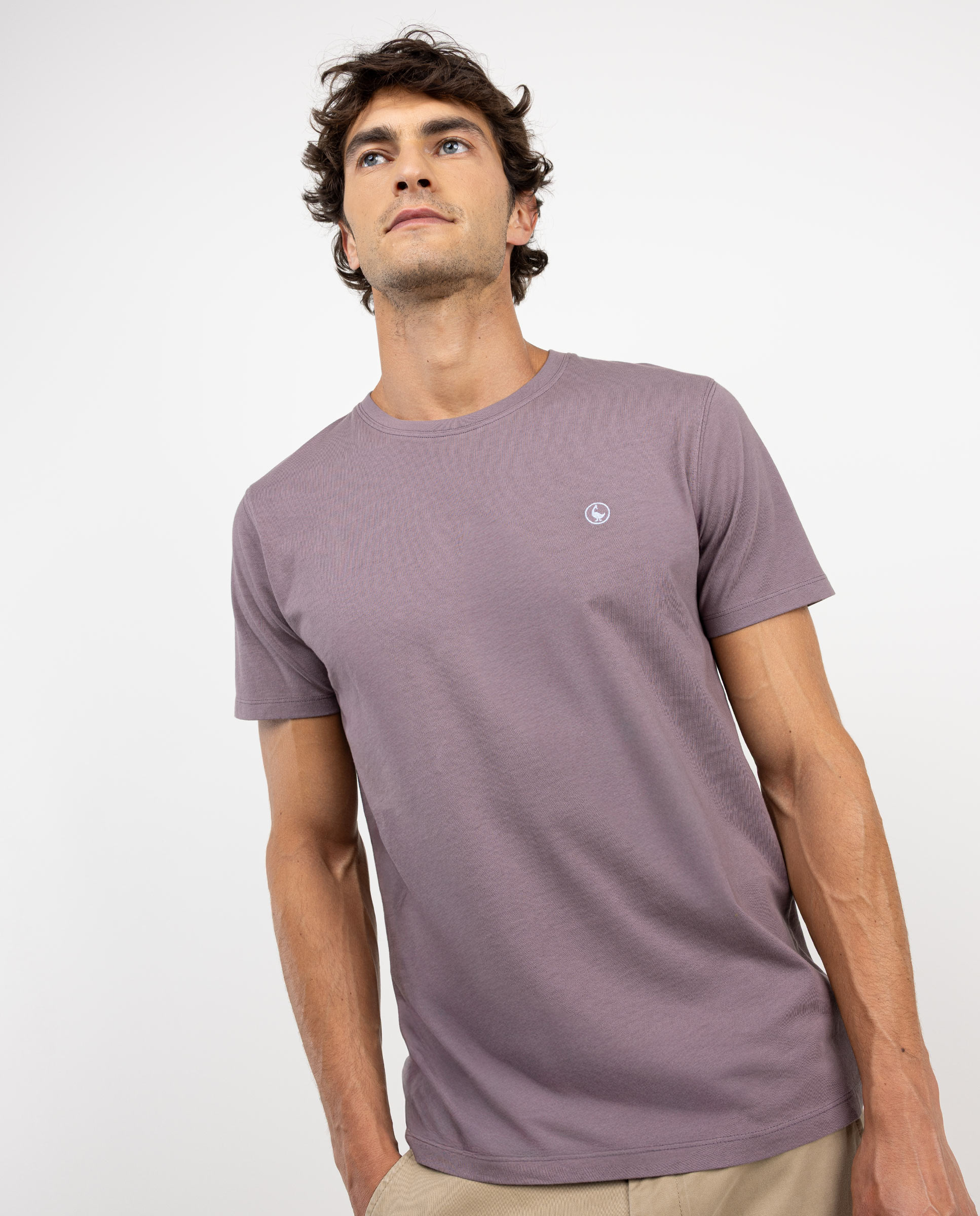 Basic Aubergine Shirt